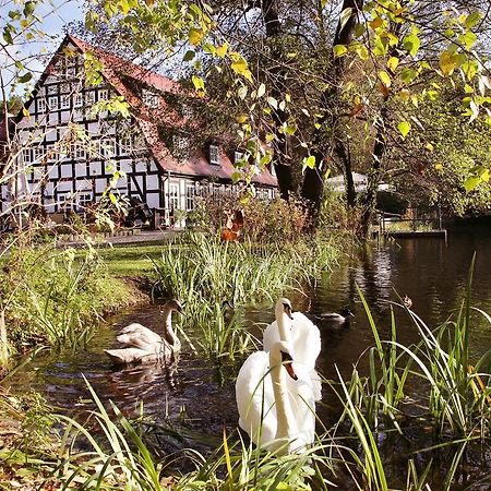 Springbach-Muehle Belzig Hotel Eksteriør billede